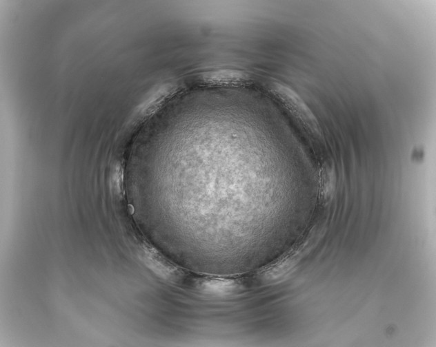 X0000093590669200710291124