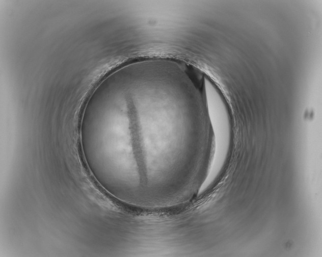 X0000093590673200710291123
