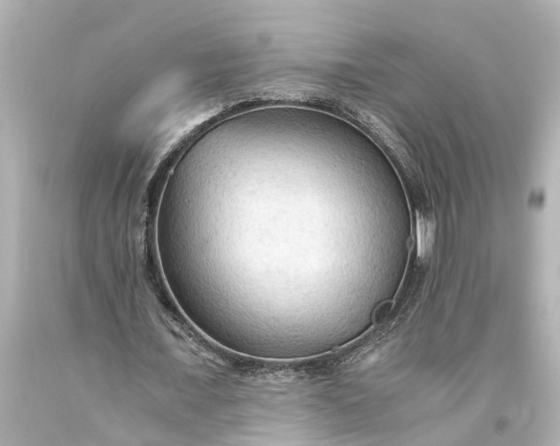 X0000093590675200710291123