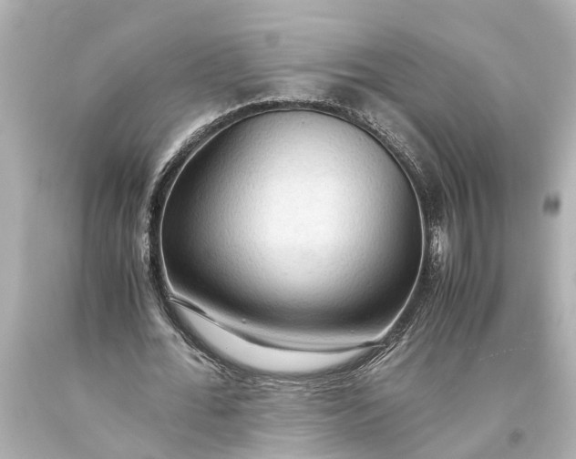 X0000093590676200710291123