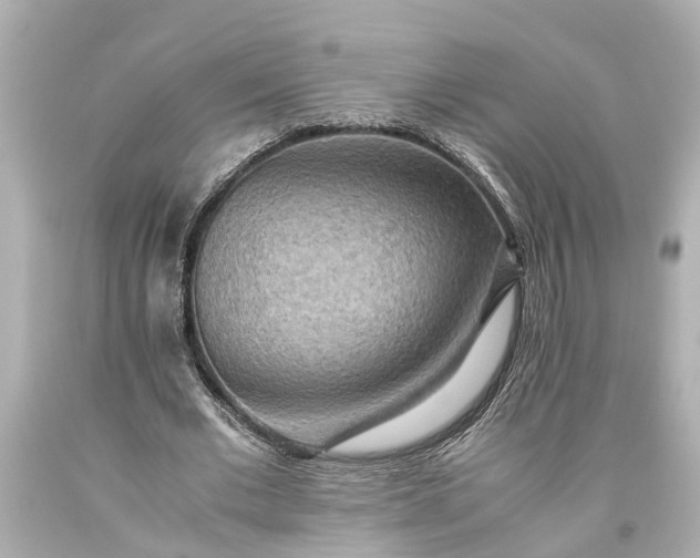 X0000093590677200710291123