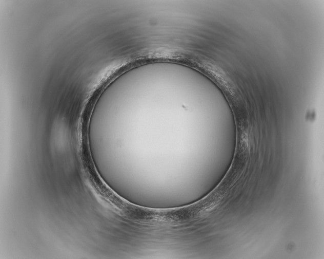 X0000093590678200710291123