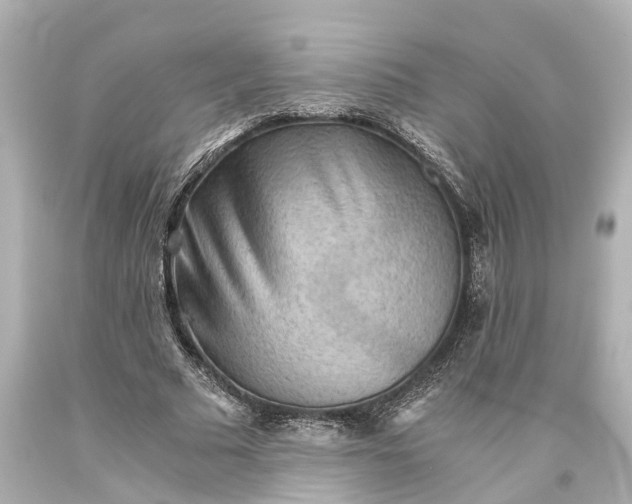 X0000093590681200710291123