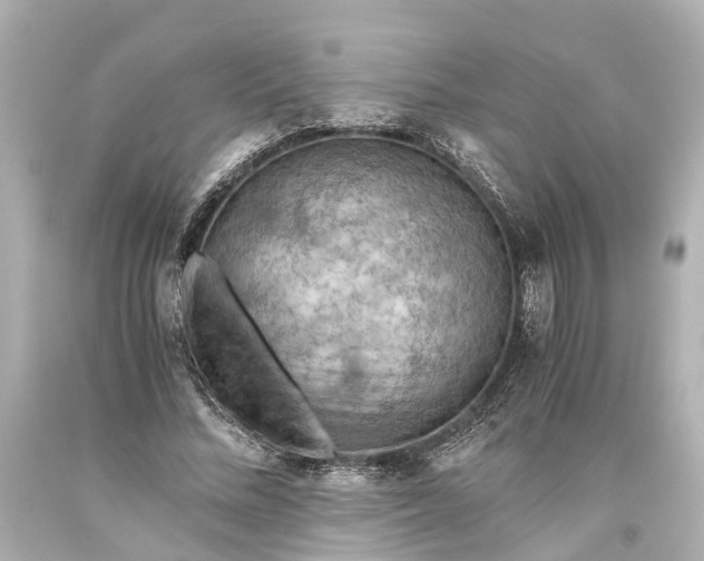 X0000093590684200710291123