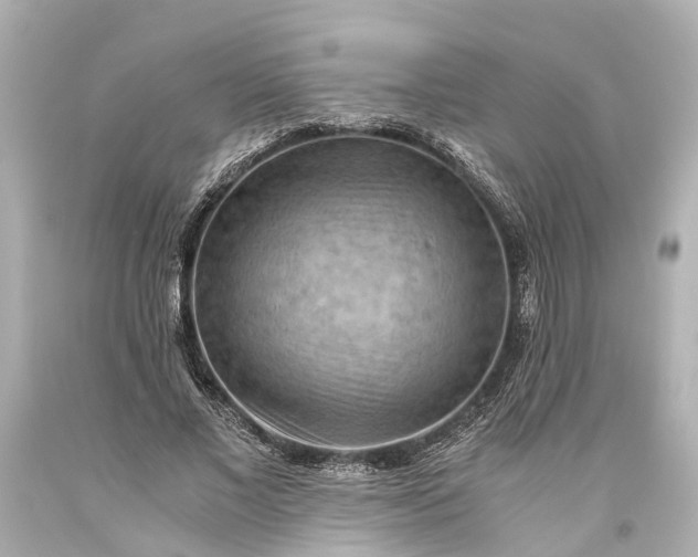 X0000093590685200710291123