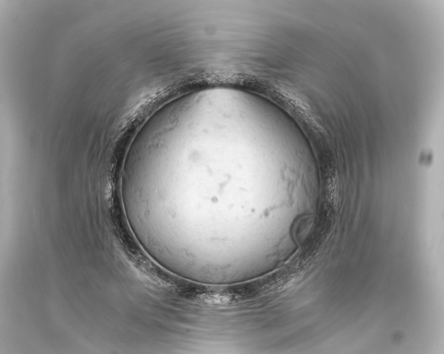 X0000093590687200710291123
