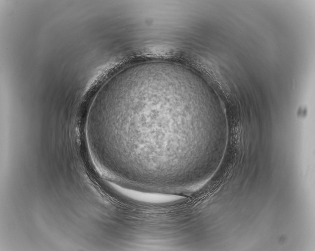 X0000093590688200710291123