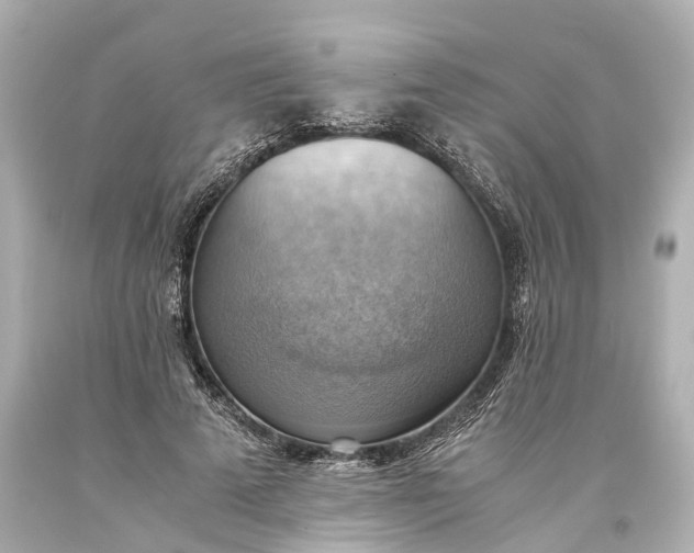 X0000093590689200710291123