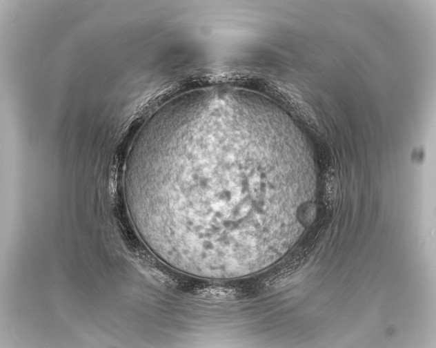 X0000093590691200710291123