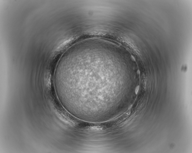 X0000093590692200710291123