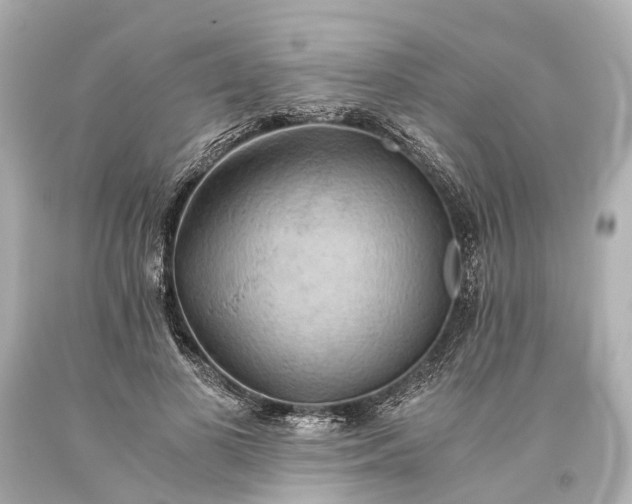 X0000093590693200710291123