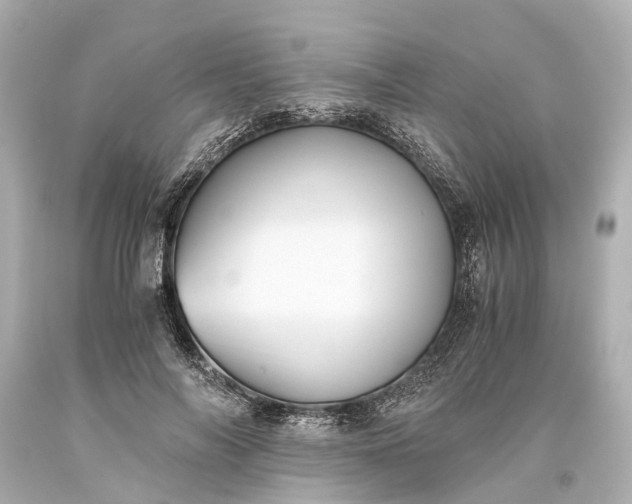 X0000093590694200710291123
