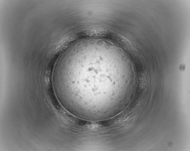 X0000093590695200710291123