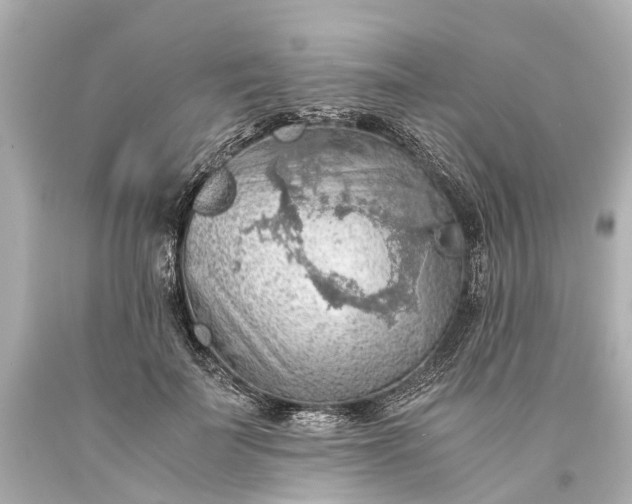 X0000093590699200710291123