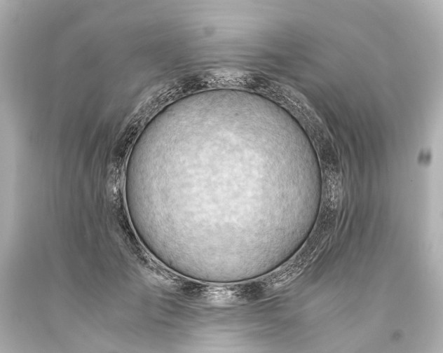 X0000093590701200710291123