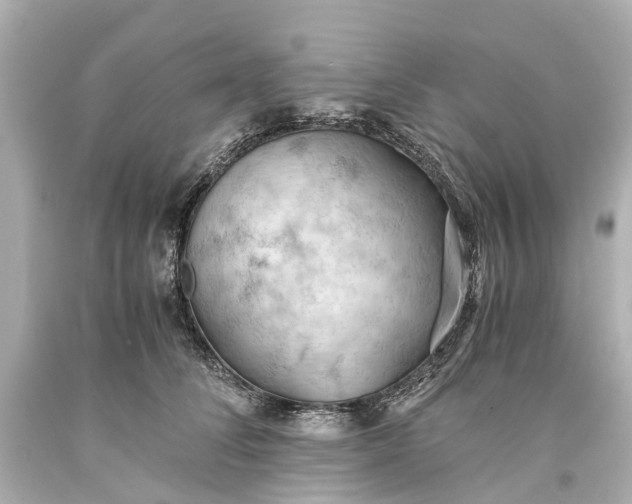 X0000093590708200710291123