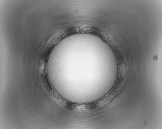 X0000093590709200710291123