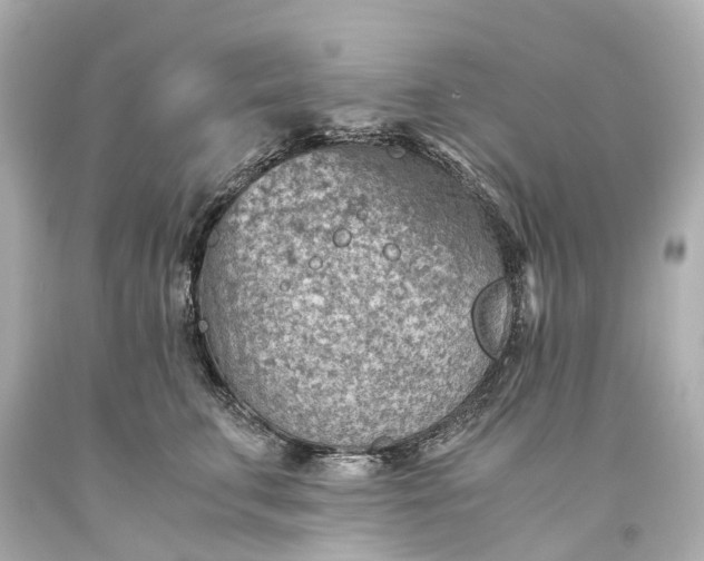 X0000093590711200710291122