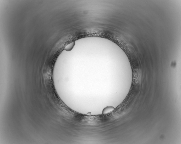 X0000093590713200710291122