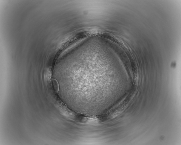 X0000093590715200710291122