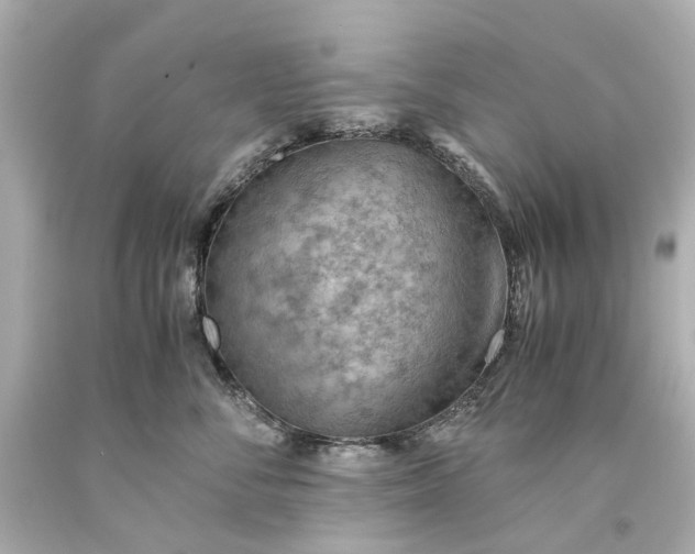 X0000093590716200710291122