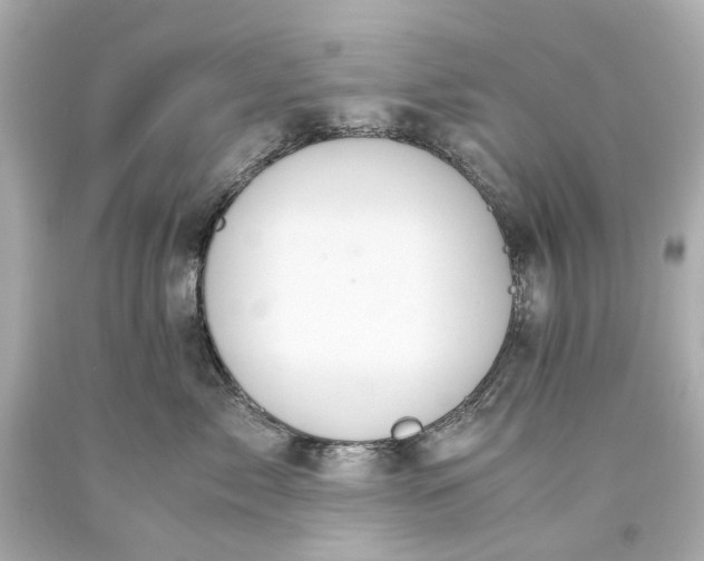 X0000093590717200710291122