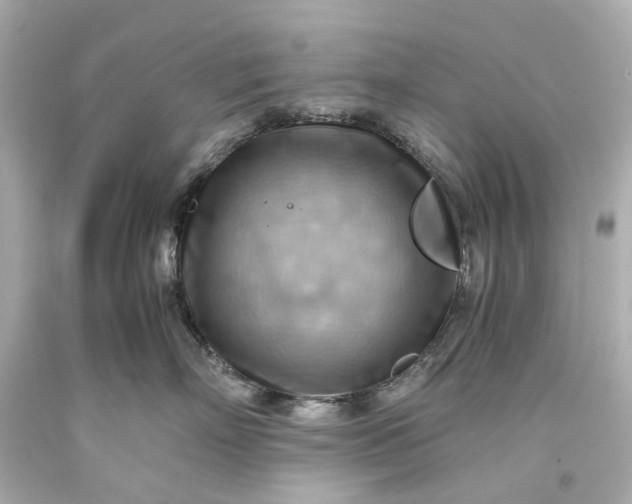 X0000093590718200710291122