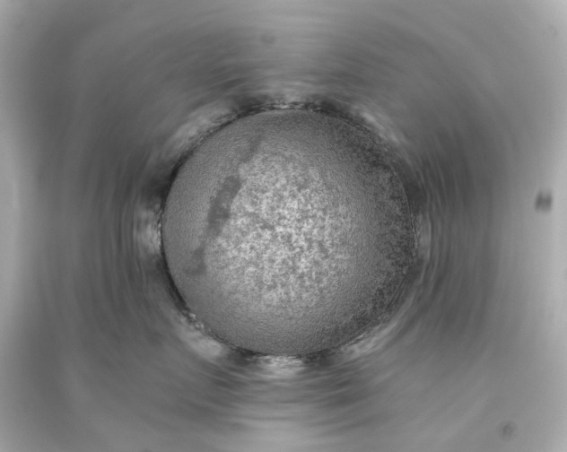 X0000093590719200710291122