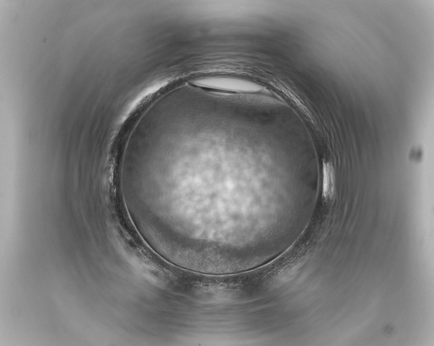 X0000093590723200710291122