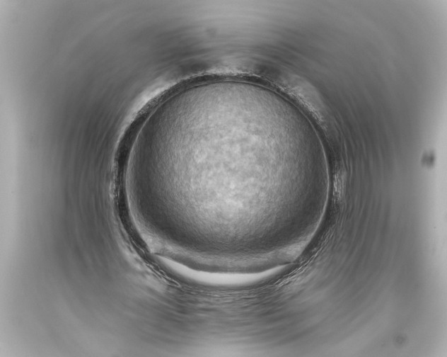 X0000093590724200710291122