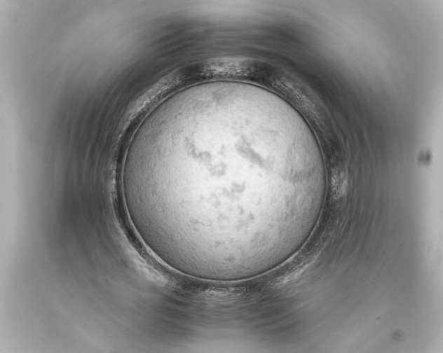 X0000093590725200710291122