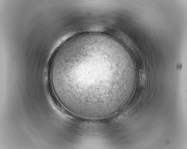 X0000093590726200710291122