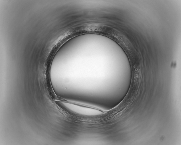 X0000093590727200710291122