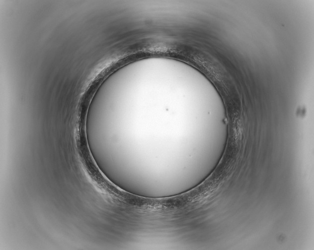 X0000093590728200710291122