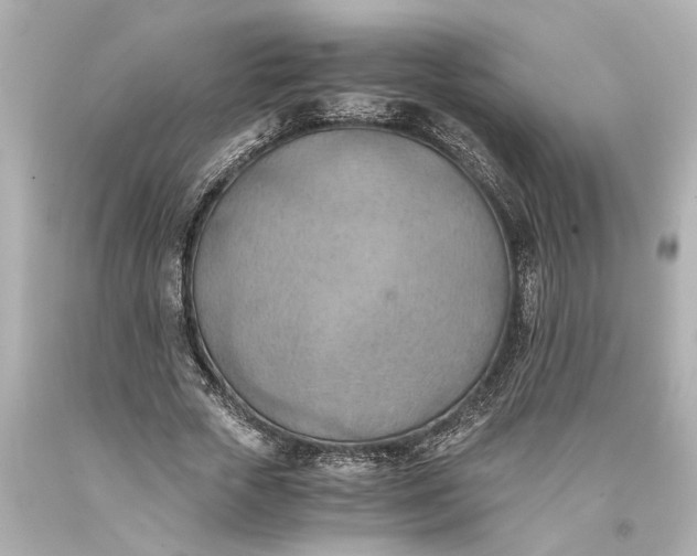 X0000093590729200710291122