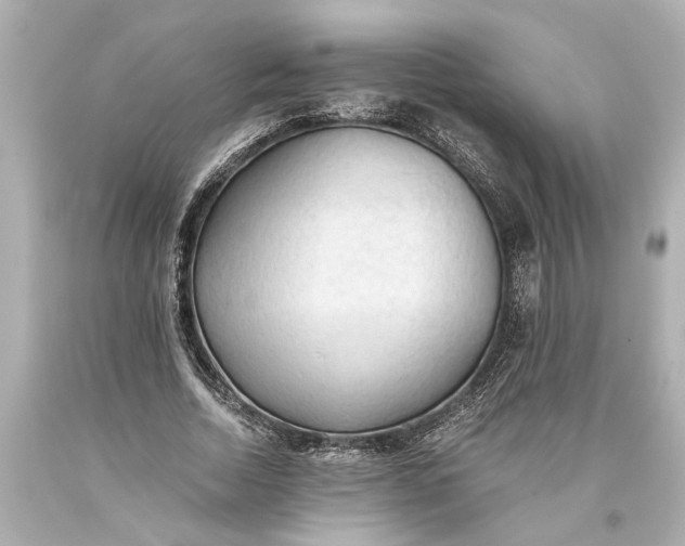 X0000093590730200710291122