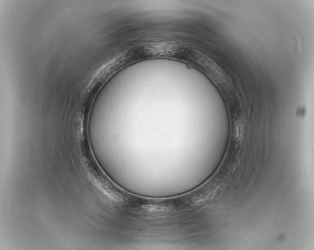 X0000093590733200710291122