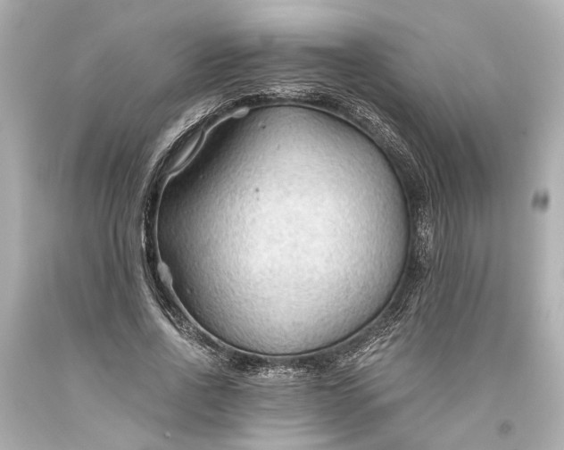 X0000093590734200710291122