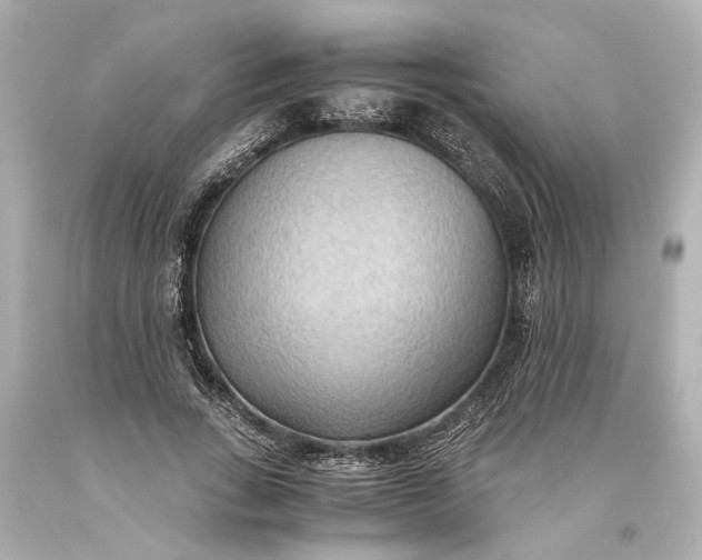 X0000093590735200710291122
