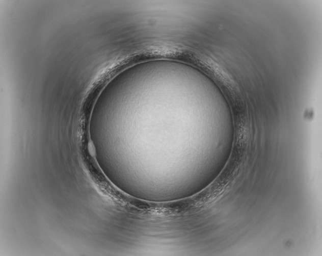 X0000093590736200710291122