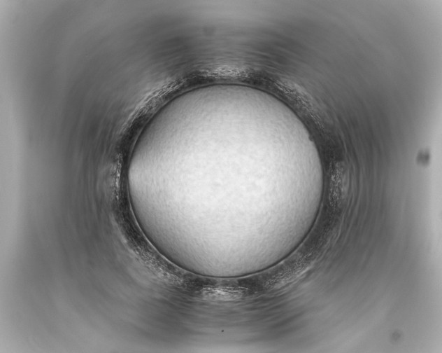 X0000093590739200710291122