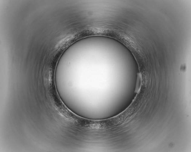 X0000093590740200710291122