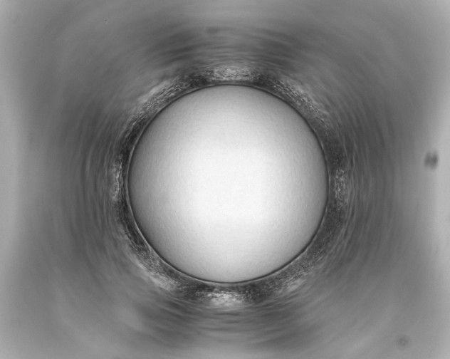 X0000093590741200710291122