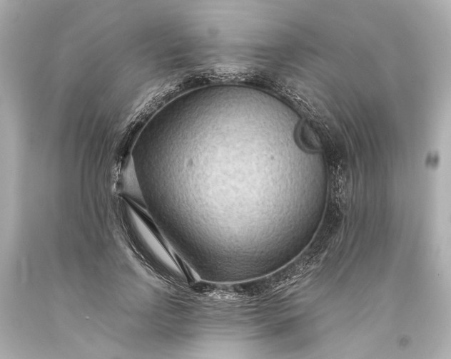 X0000093590742200710291122