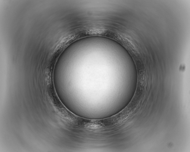 X0000093590743200710291122
