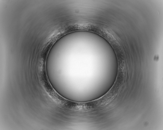 X0000093590744200710291122
