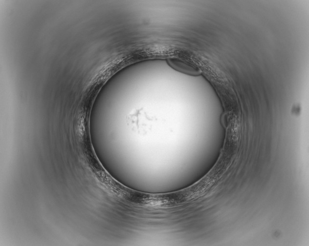 X0000093590746200710291122