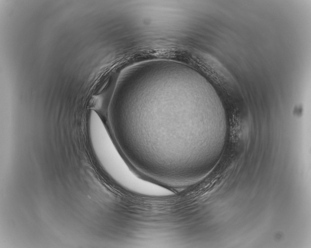 X0000093590748200710291122