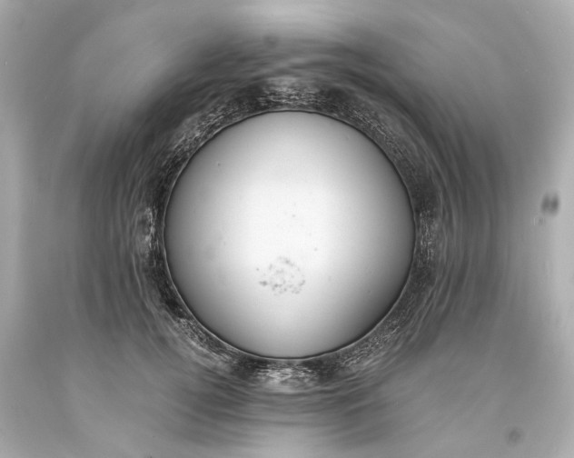 X0000093590752200710291122
