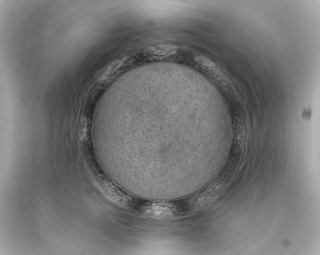 X0000093590758200710291122